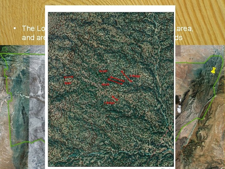 Study Site • The Los Pinos Mountains are a poorly studied area, and are