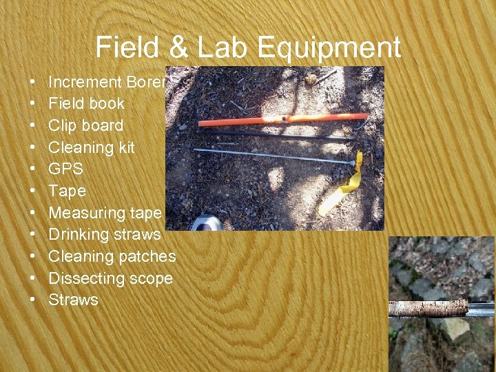 Field & Lab Equipment • • • Increment Borers Field book Clip board Cleaning