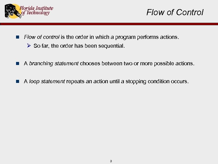 Flow of Control n Flow of control is the order in which a program