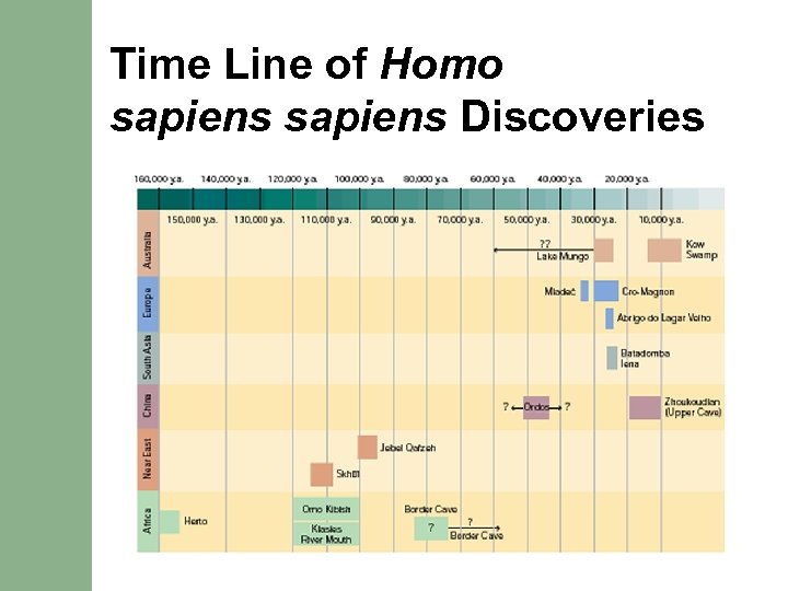 Time Line of Homo sapiens Discoveries 