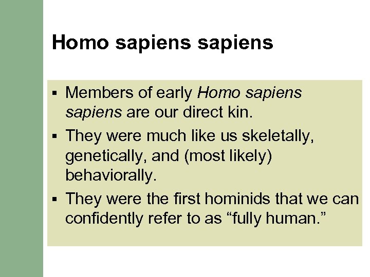 Homo sapiens Members of early Homo sapiens are our direct kin. § They were
