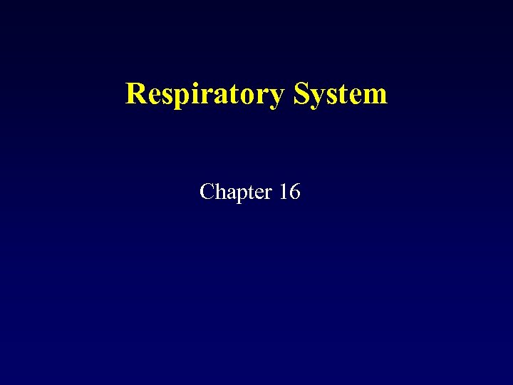 Respiratory System Chapter 16 