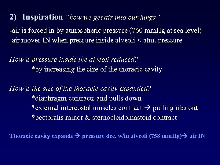 2) Inspiration “how we get air into our lungs” -air is forced in by