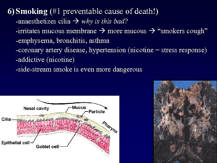 6) Smoking (#1 preventable cause of death!) -anaesthetizes cilia why is this bad? -irritates