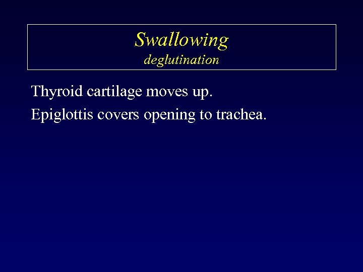 Swallowing deglutination Thyroid cartilage moves up. Epiglottis covers opening to trachea. 