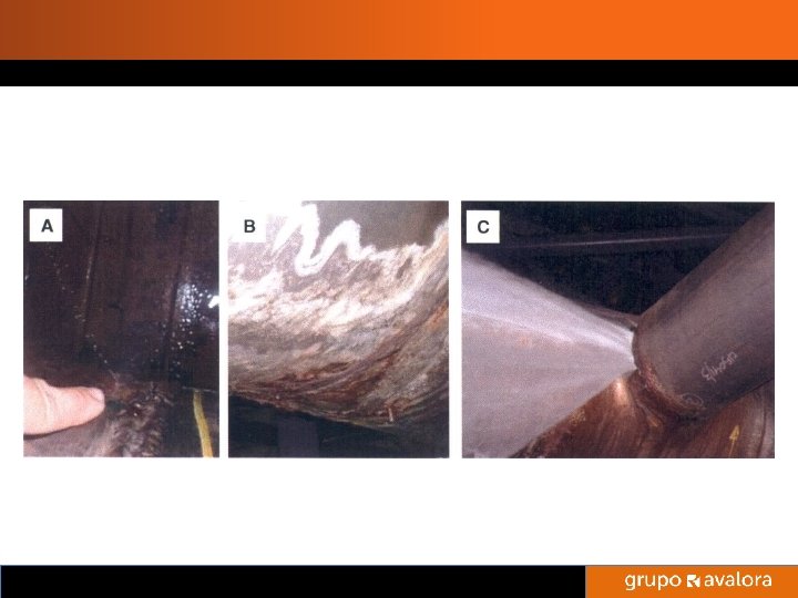 Titulo de la Presentación 