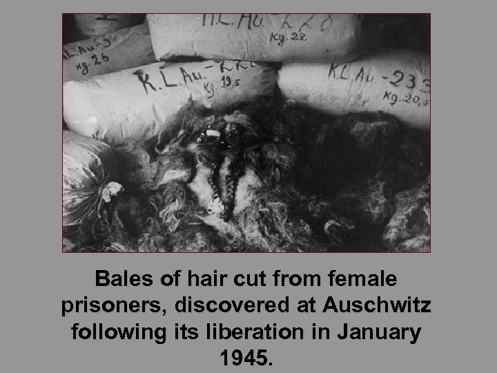 Bales of hair cut from female prisoners, discovered at Auschwitz following its liberation in