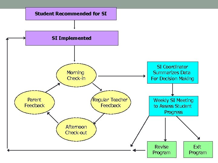 Student Recommended for SI SI Implemented SI Coordinator Summarizes Data For Decision Making Morning