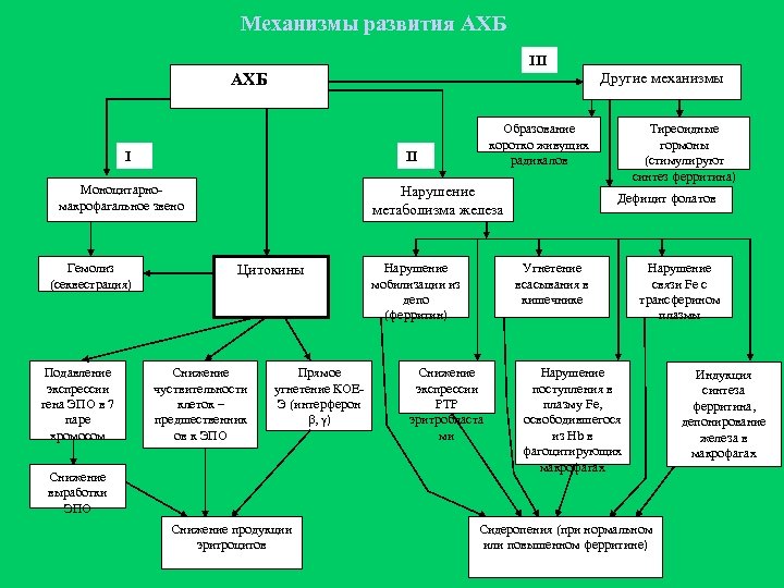 Механизмы развития АХБ III Другие механизмы АХБ I II Моноцитарномакрофагальное звено Гемолиз (секвестрация) Подавление