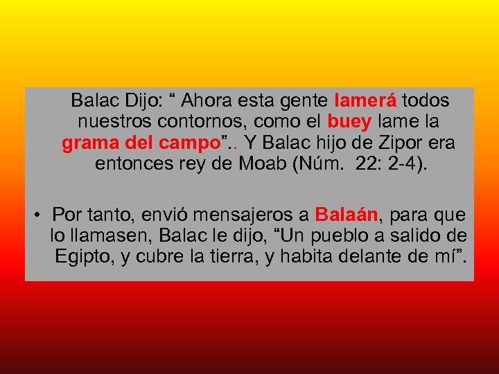 Balac Dijo: “ Ahora esta gente lamerá todos nuestros contornos, como el buey lame