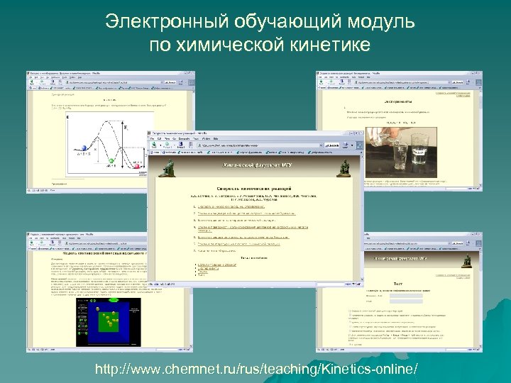 Электронный обучающий модуль по химической кинетике http: //www. chemnet. ru/rus/teaching/Kinetics-online/ 