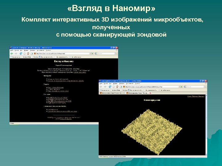  «Взгляд в Наномир» Комплект интерактивных 3 D изображений микрообъектов, полученных с помощью сканирующей