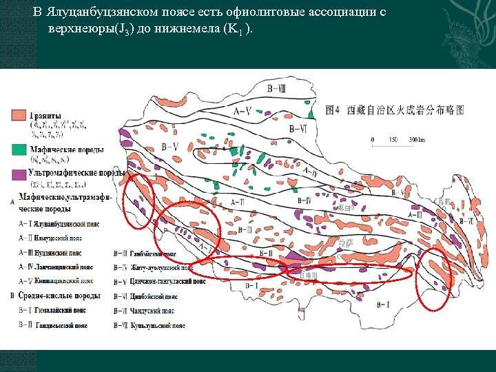  В Ялуцанбуцзянском поясе есть офиолитовые ассоциации с верхнеюры(J 3) до нижнемела (K 1