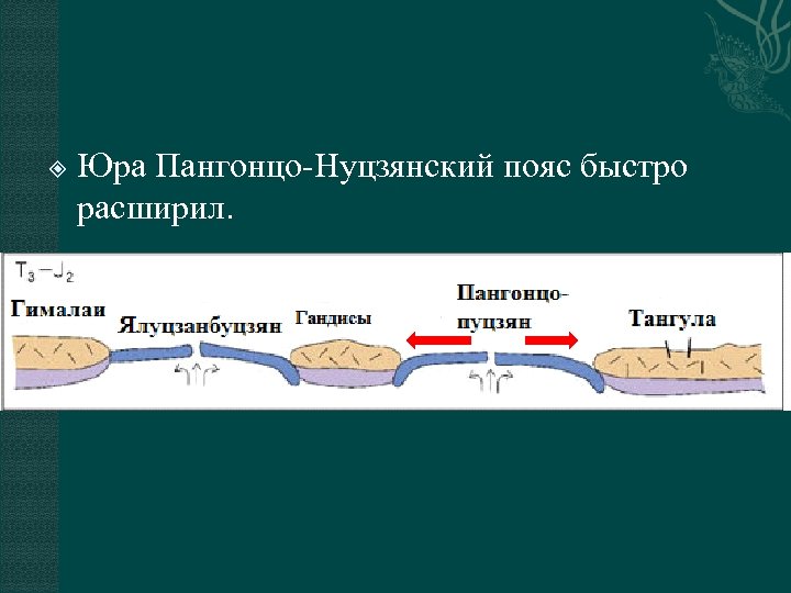  Юра Пангонцо-Нуцзянский пояс быстро расширил. 
