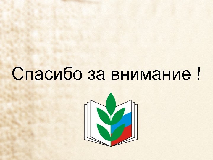 Спасибо за внимание ! 