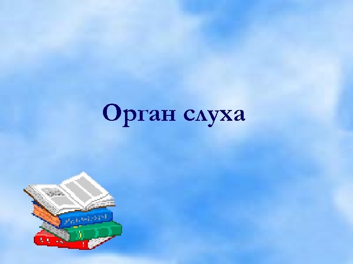 Орган слуха 