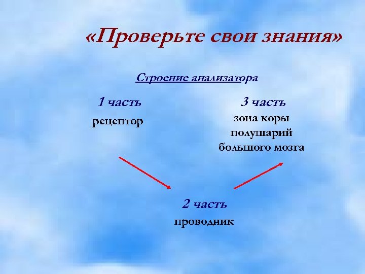  «Проверьте свои знания» Строение анализатора 1 часть 3 часть рецептор зона коры полушарий