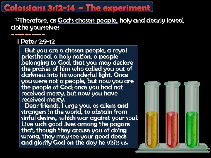 Colossians 3: 12 -14 ~ The experiment 12 Therefore, as God’s chosen people, holy