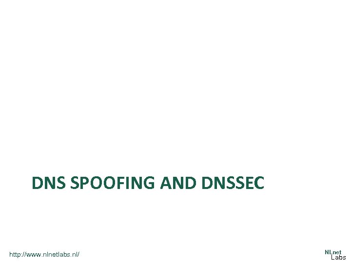 DNS SPOOFING AND DNSSEC http: //www. nlnetlabs. nl/ NLnet Labs 
