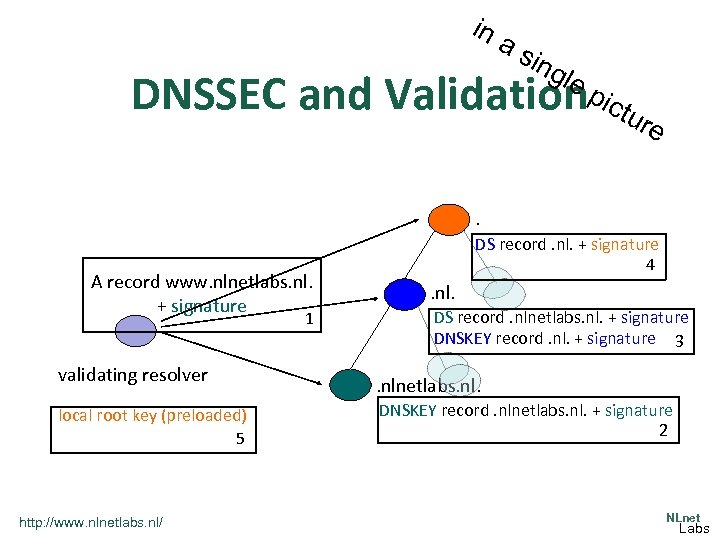 in as ing le DNSSEC and Validationpictur e . A record www. nlnetlabs. nl.