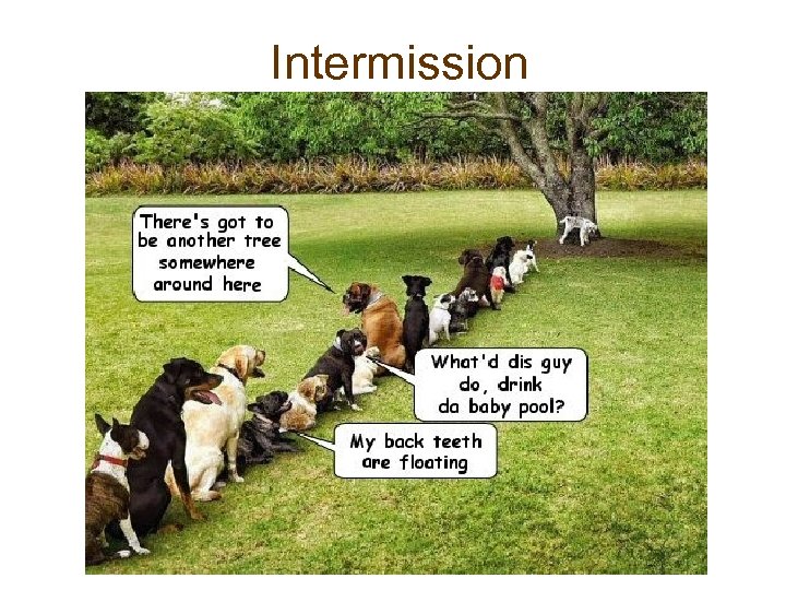 Intermission 