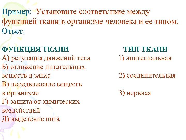 Пример: Установите соответствие между функцией ткани в организме человека и ее типом. Ответ: ФУНКЦИЯ