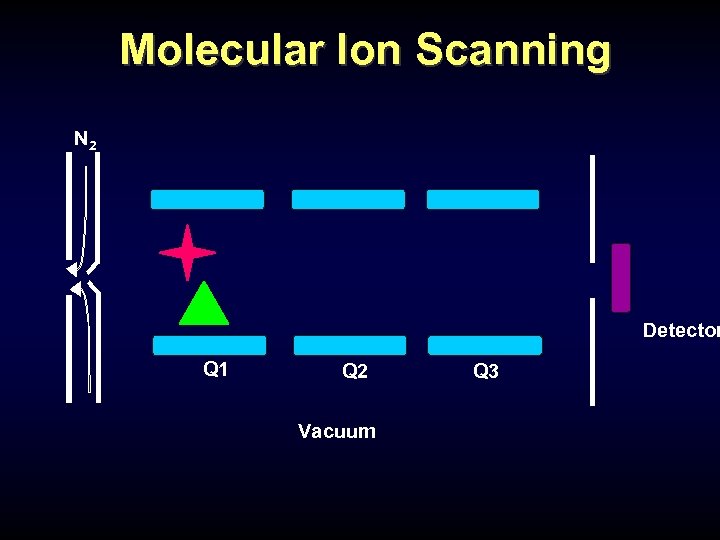 Molecular Ion Scanning N 2 Detector Q 1 Q 2 Vacuum Q 3 