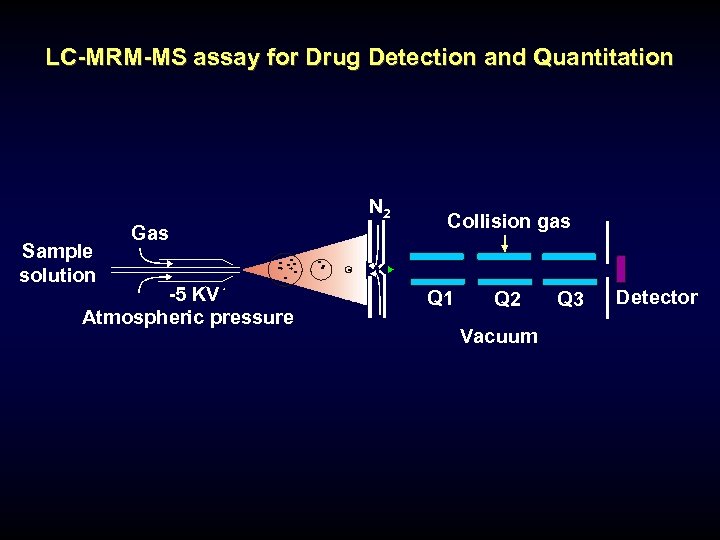 LC-MRM-MS assay for Drug Detection and Quantitation N 2 Sample solution Gas - -+