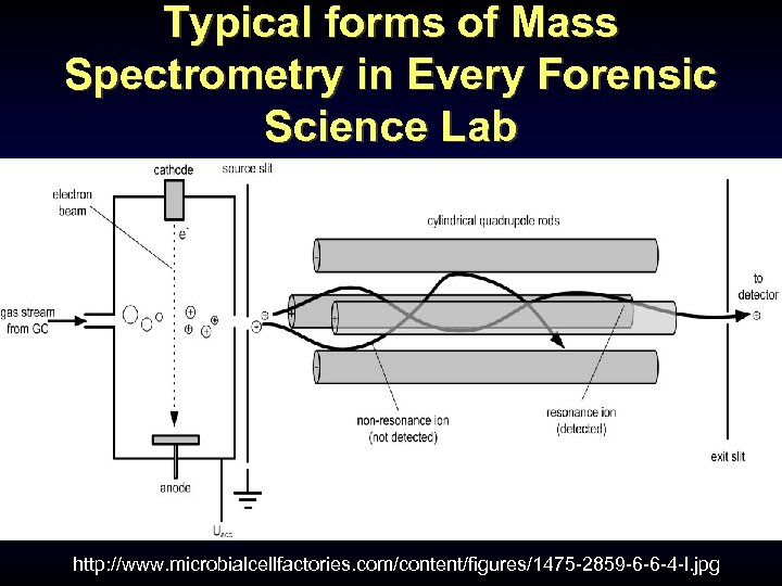 Typical forms of Mass Spectrometry in Every Forensic Science Lab Gas Chromatography-Mass Spectrometry (GC-MS)