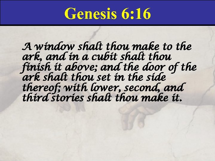 Genesis 6: 16 A window shalt thou make to the ark, and in a