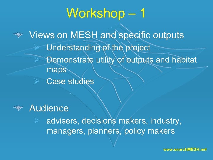 Workshop – 1 Views on MESH and specific outputs Ø Understanding of the project