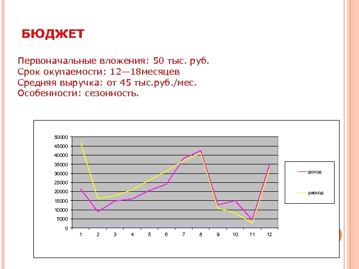 БЮДЖЕТ Первоначальные вложения: 50 тыс. руб. Срок окупаемости: 12— 18 месяцев Средняя выручка: от