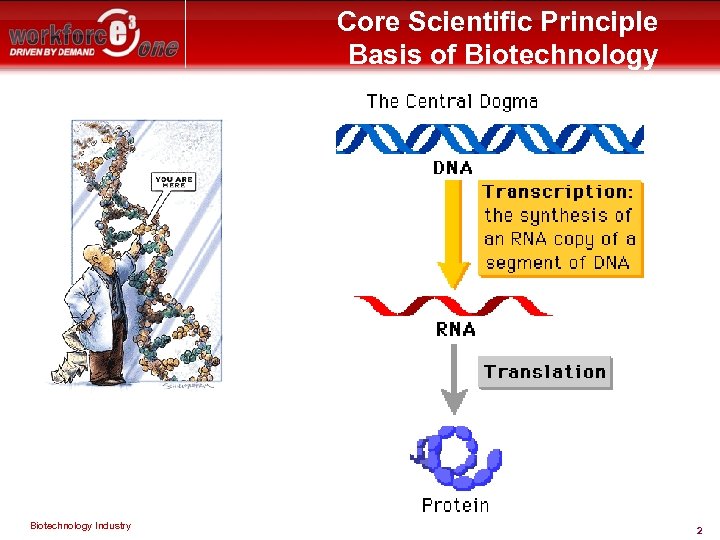 Core Scientific Principle Basis of Biotechnology Industry 2 