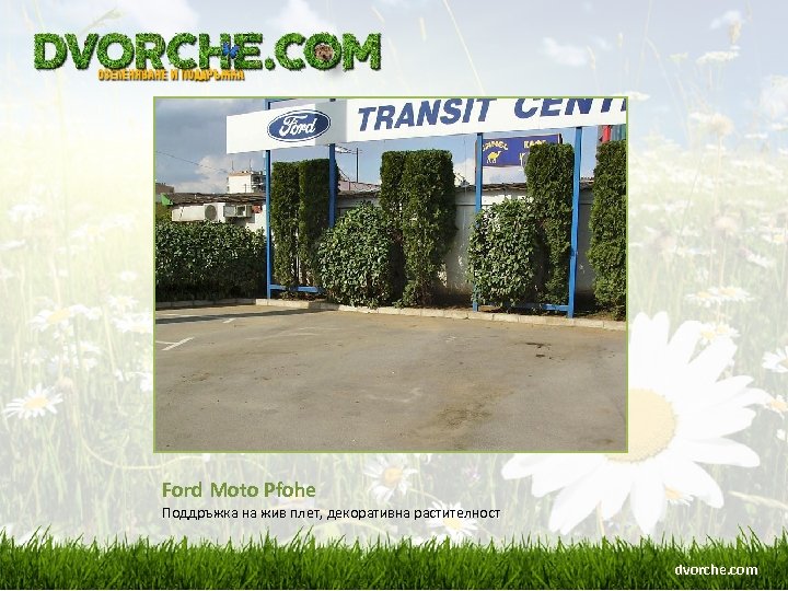 Ford Moto Pfohe Поддръжка на жив плет, декоративна растителност dvorche. com 