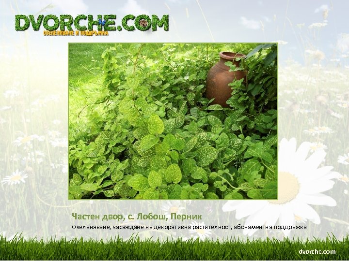 Частен двор, с. Лобош, Перник Озеленяване, засаждане на декоративна растителност, абонаментна поддръжка dvorche. com