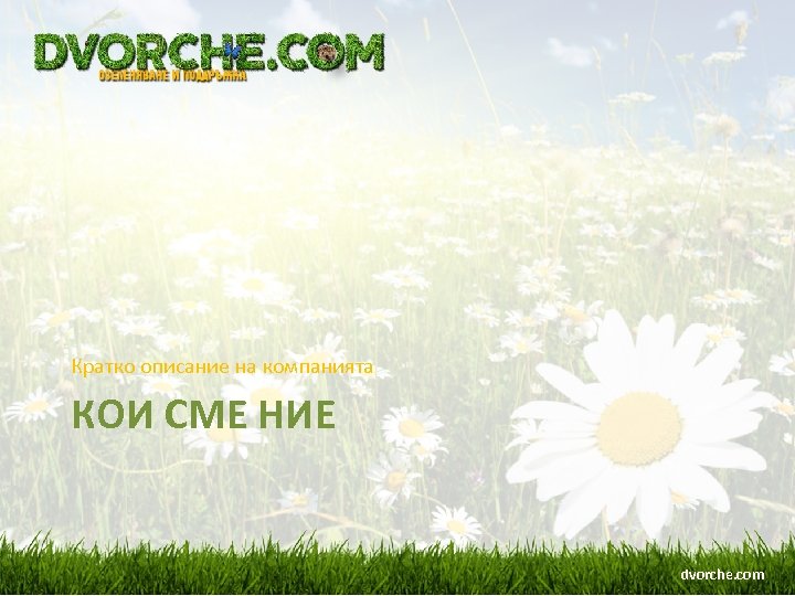 Кратко описание на компанията КОИ СМЕ НИЕ dvorche. com 