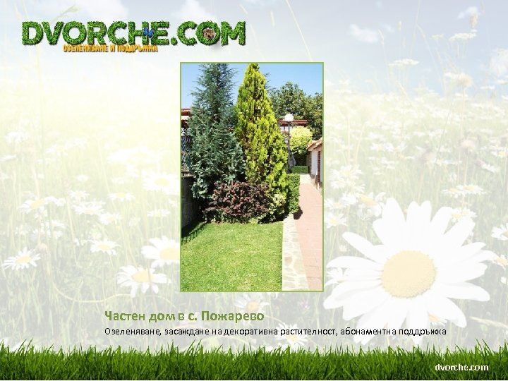 Частен дом в с. Пожарево Озеленяване, засаждане на декоративна растителност, абонаментна поддръжка dvorche. com