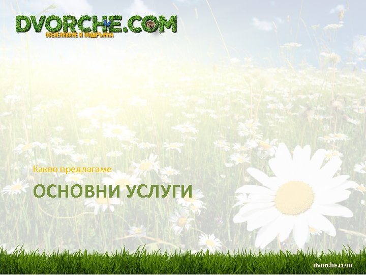 Какво предлагаме ОСНОВНИ УСЛУГИ dvorche. com 