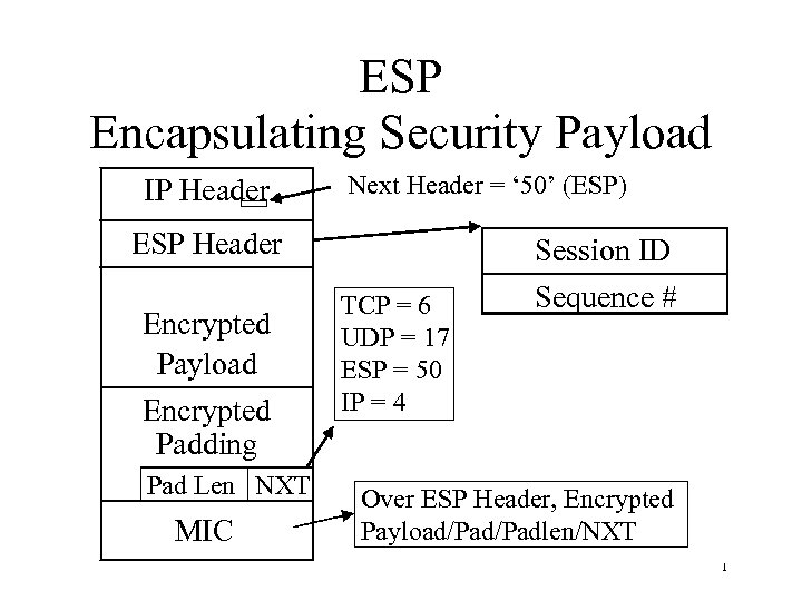 ESP Encapsulating Security Payload IP Header Next Header = ‘ 50’ (ESP) ESP Header