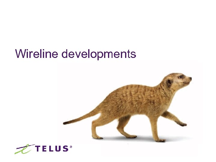 Wireline developments 