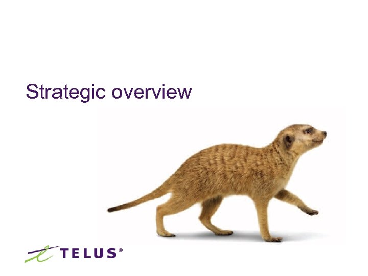 Strategic overview 