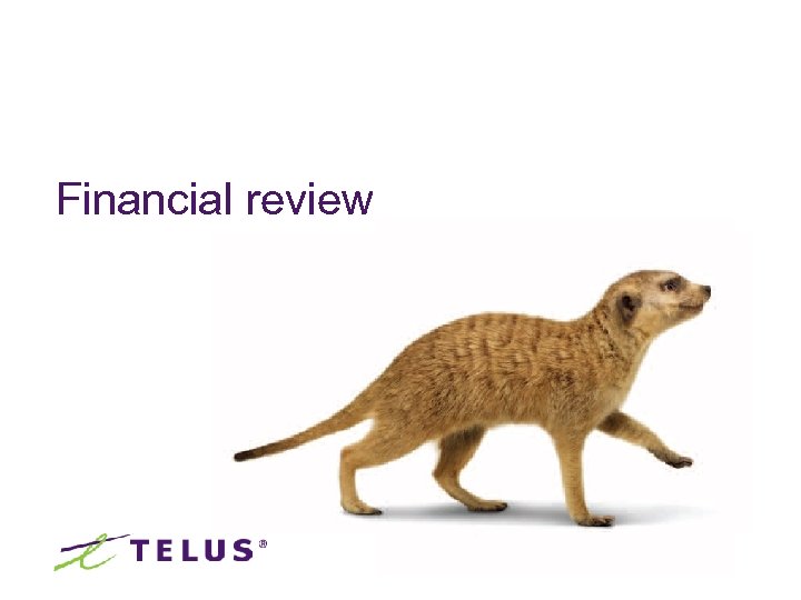 Financial review 
