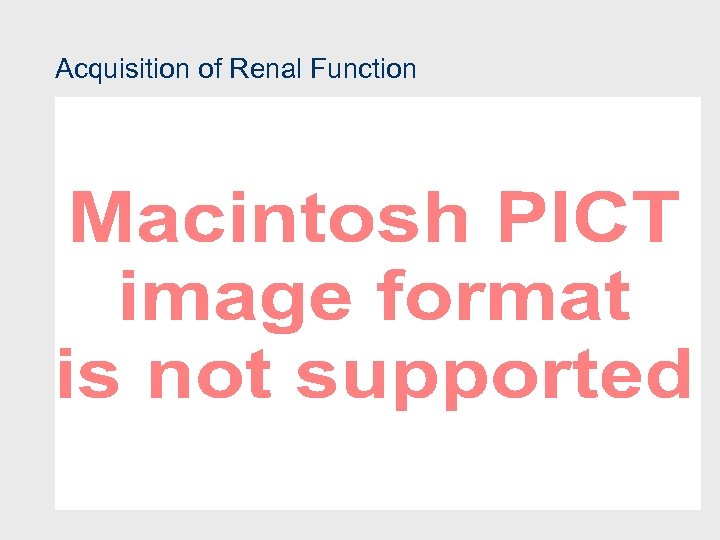 Acquisition of Renal Function 