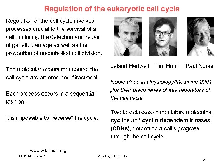 Regulation of the eukaryotic cell cycle Regulation of the cell cycle involves processes crucial