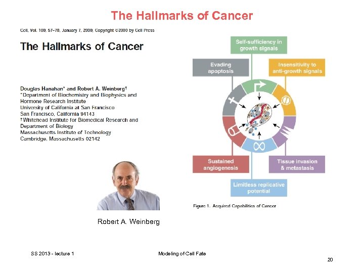 The Hallmarks of Cancer Robert A. Weinberg SS 2013 - lecture 1 Modeling of