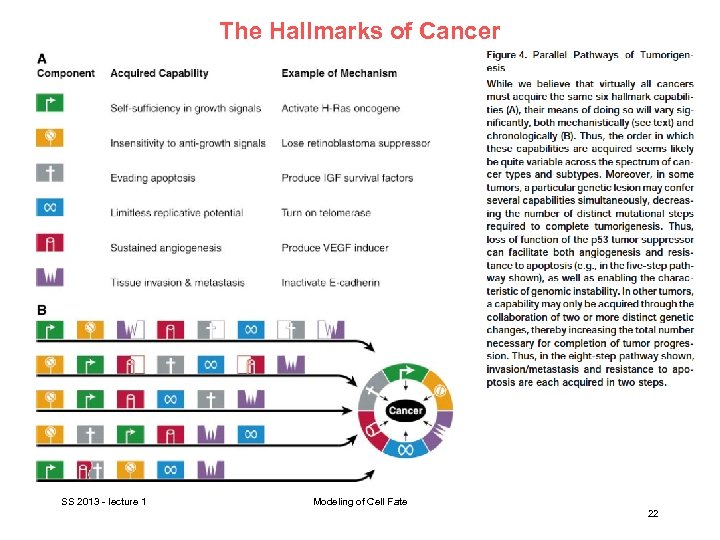 The Hallmarks of Cancer SS 2013 - lecture 1 Modeling of Cell Fate 22
