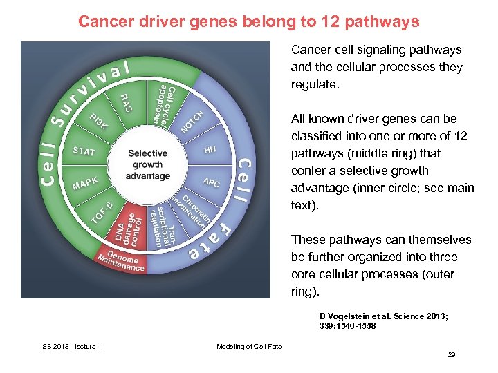 Cancer driver genes belong to 12 pathways Cancer cell signaling pathways and the cellular