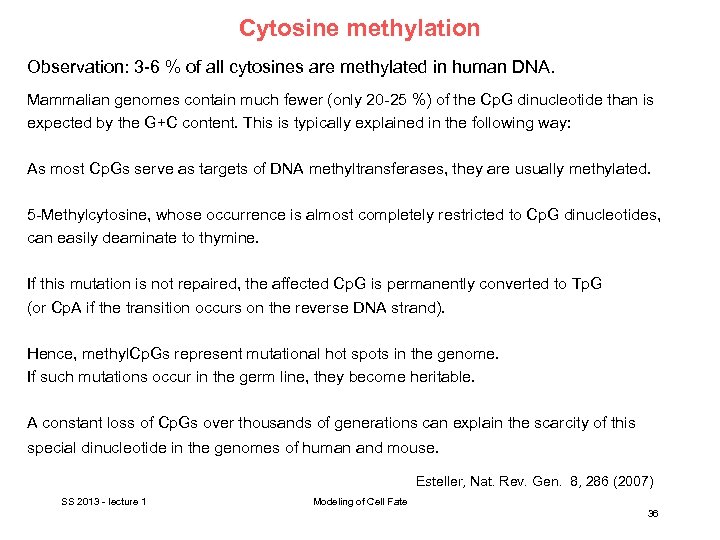 Cytosine methylation Observation: 3 -6 % of all cytosines are methylated in human DNA.