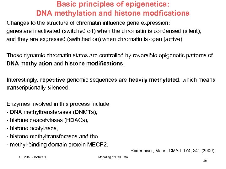 Basic principles of epigenetics: DNA methylation and histone modfications Changes to the structure of
