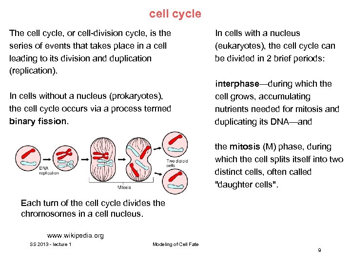 cell cycle The cell cycle, or cell-division cycle, is the series of events that